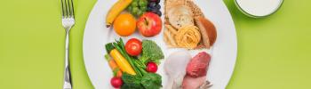 El “plato de Harvard” el gran aliado para una alimentación equilibrada - FisioClinics Palma